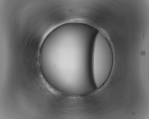 X0000112150816200908071001