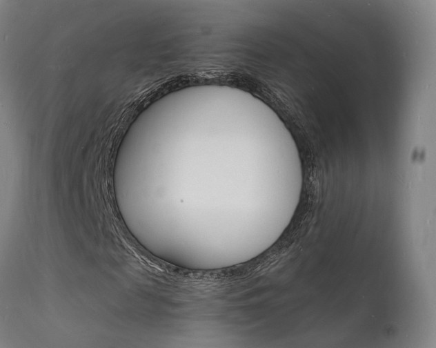 X0000112150817200908071000