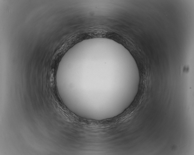 X0000112150818200908071000