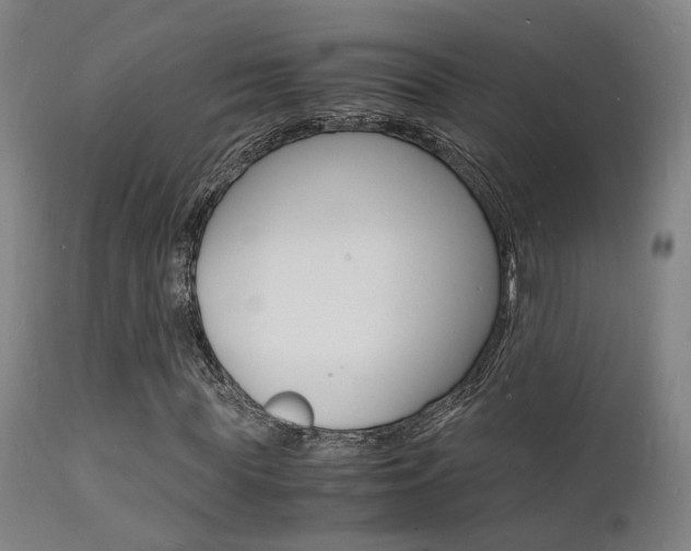 X0000112150819200908071000