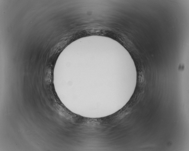 X0000112150820200908071000