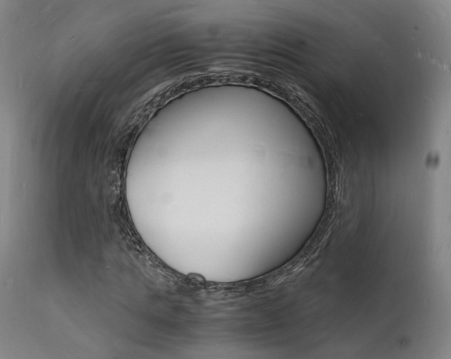 X0000112150821200908071000