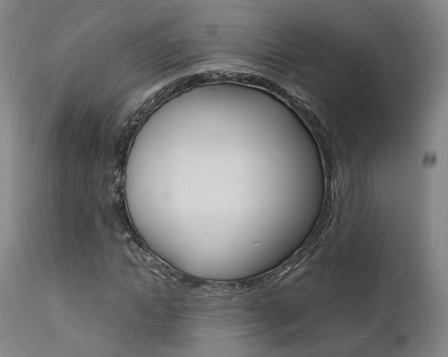 X0000112150822200908071000