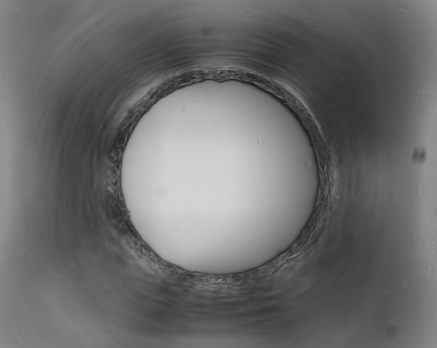 X0000112150823200908071000