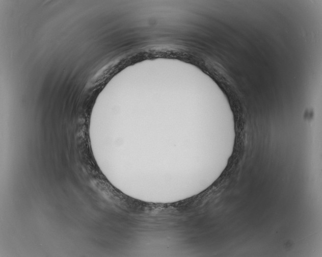 X0000112150824200908071000