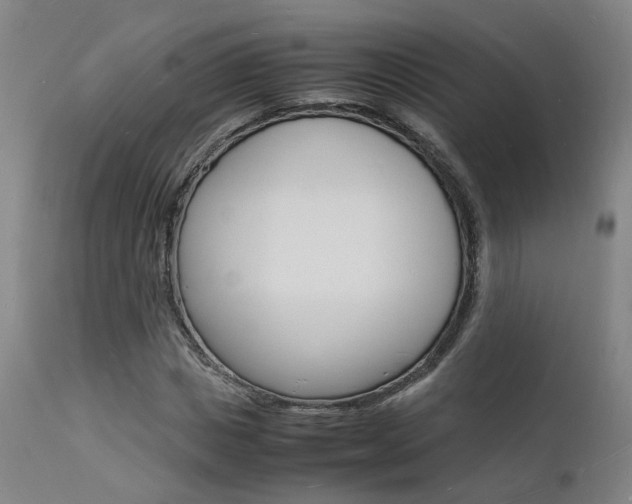 X0000112150825200908071000