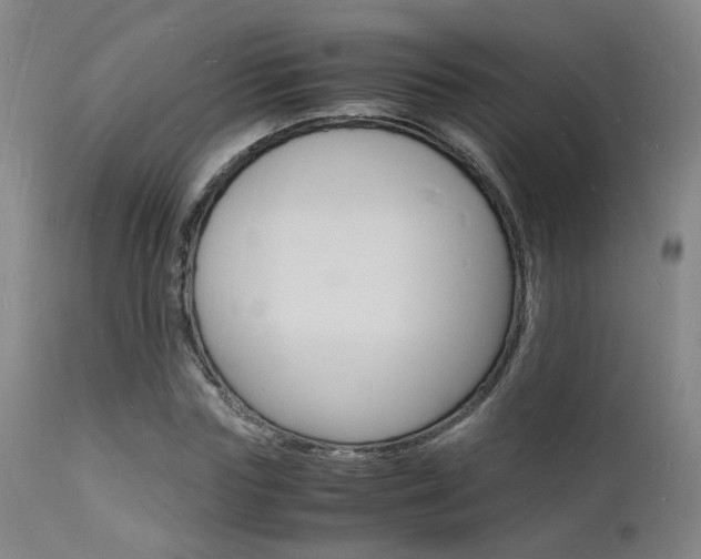 X0000112150827200908071000