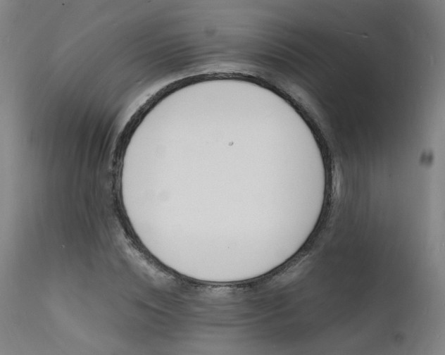 X0000112150828200908071001