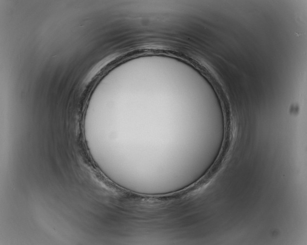 X0000112150829200908071001