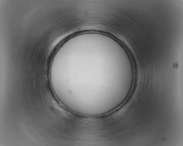X0000112150830200908071001