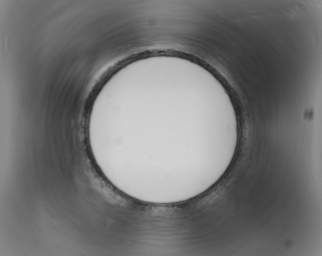 X0000112150832200908071001