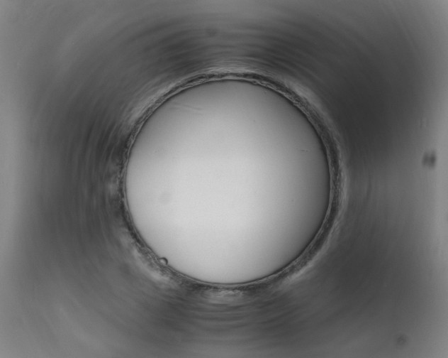 X0000112150833200908071001