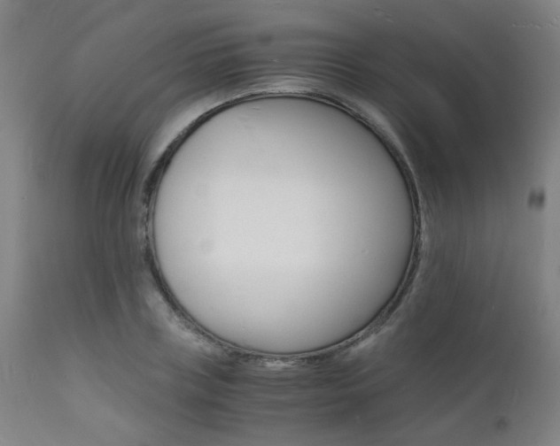 X0000112150835200908071001