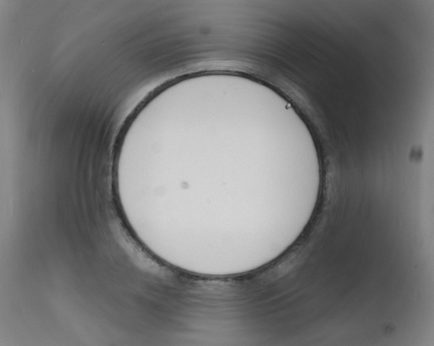 X0000112150836200908071001