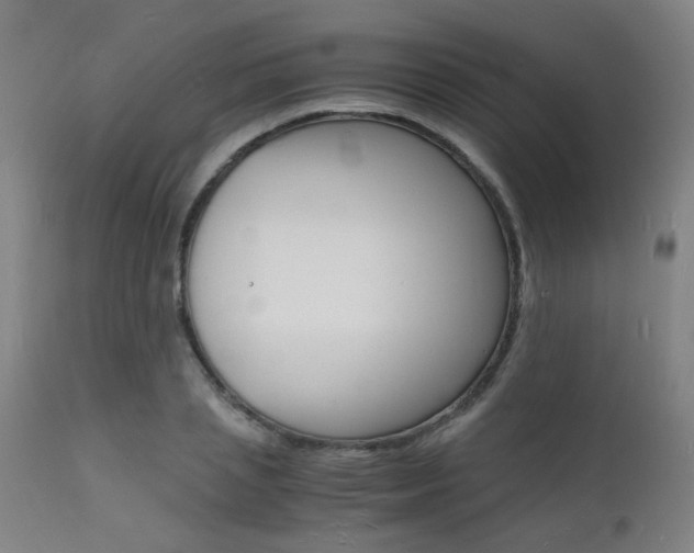 X0000112150837200908071001