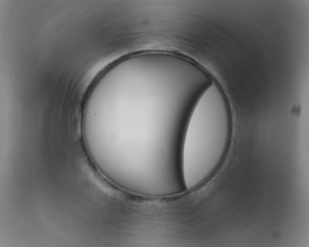 X0000112150838200908071001