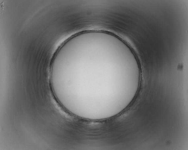 X0000112150839200908071001