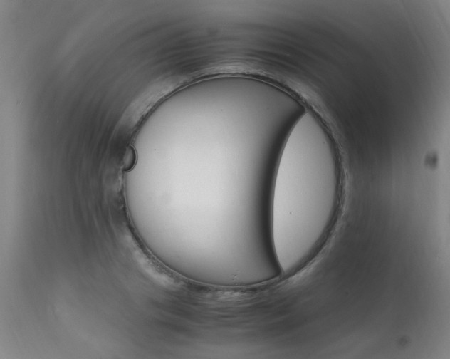 X0000112150841200908071001