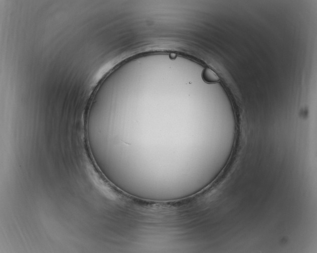 X0000112150842200908071001