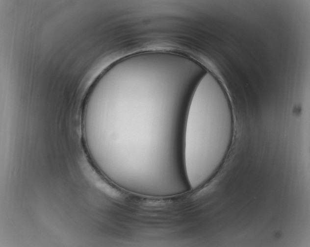 X0000112150843200908071001