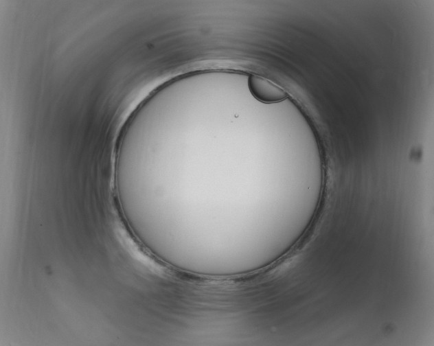 X0000112150844200908071001