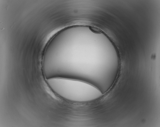 X0000112150846200908071001