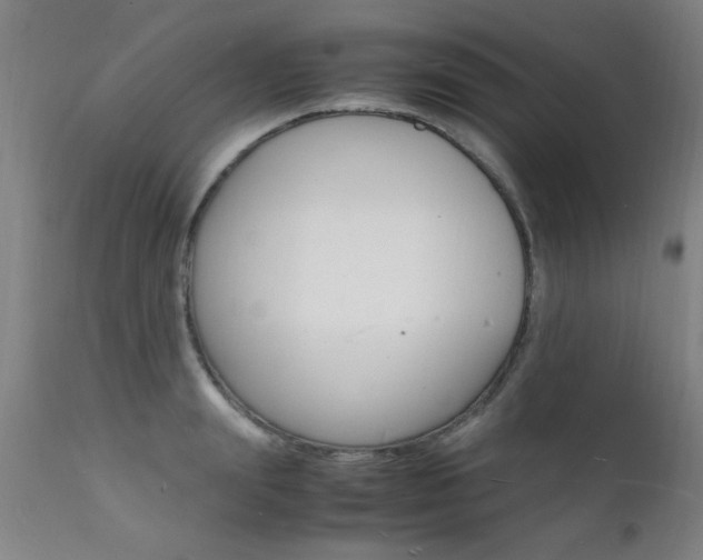 X0000112150847200908071001