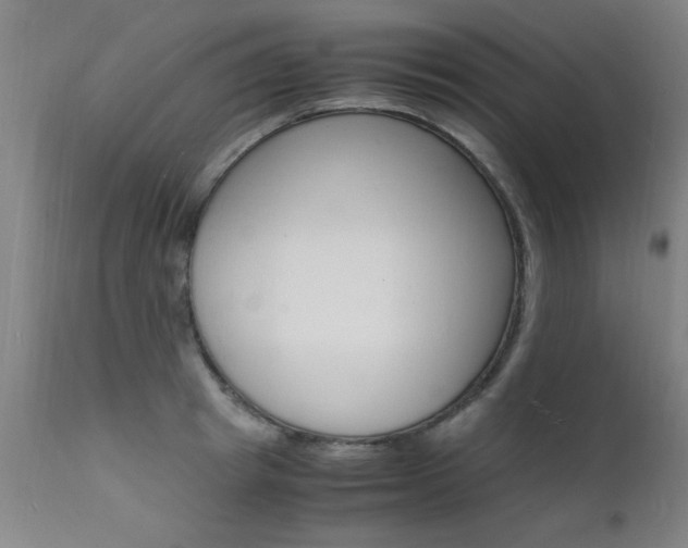 X0000112150849200908071001