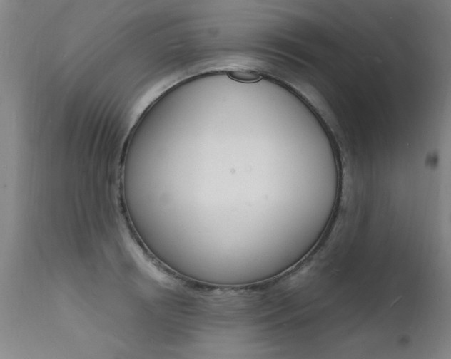 X0000112150850200908071001