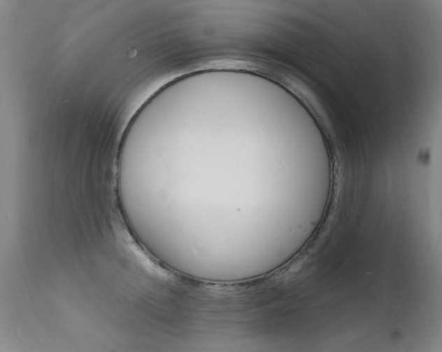 X0000112150852200908071001