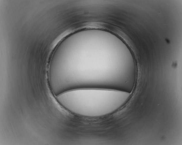 X0000112150853200908071001