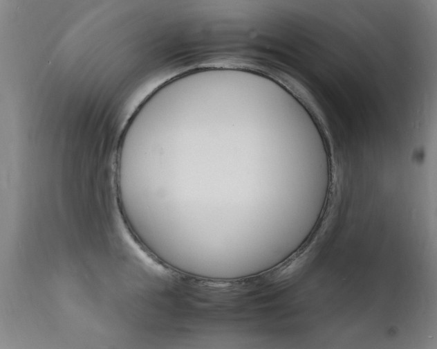 X0000112150855200908071001