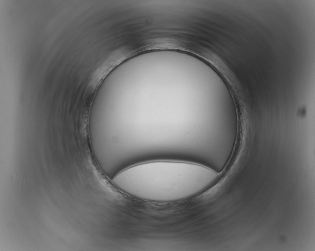 X0000112150857200908071001