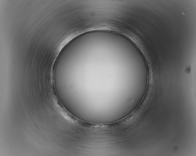 X0000112150858200908071001