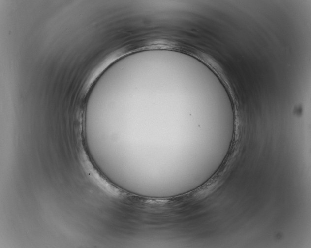 X0000112150859200908071001