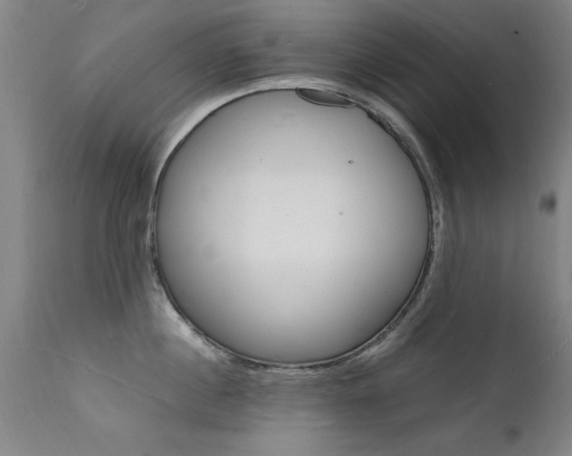 X0000112150860200908071001