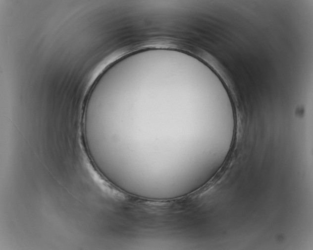X0000112150861200908071001