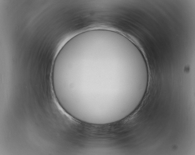 X0000112150863200908071001