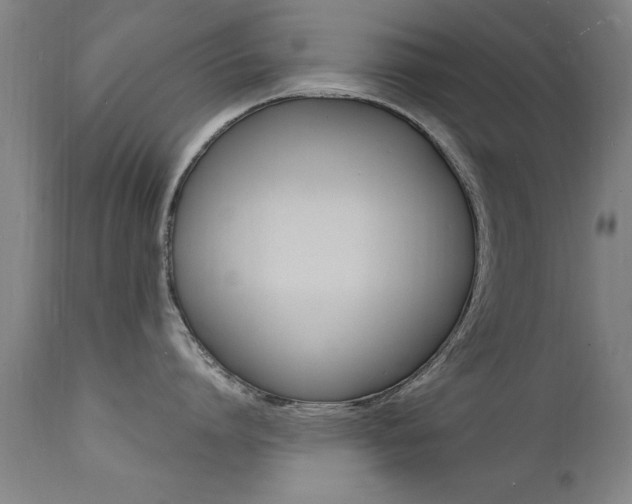 X0000112150864200908071001