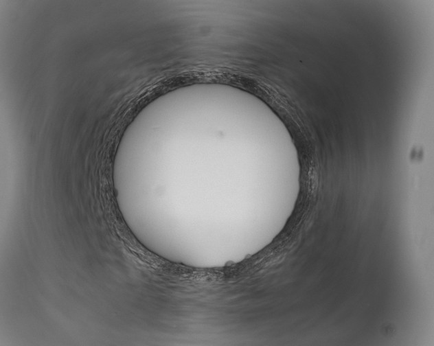 X0000112150865200908071000