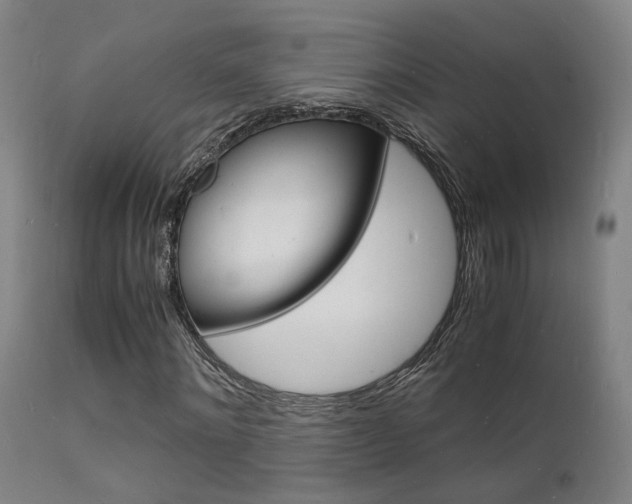 X0000112150868200908071000