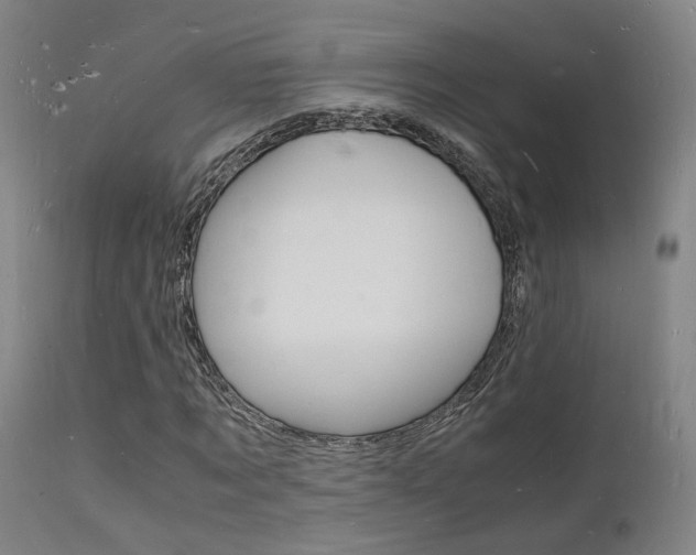 X0000112150869200908071000
