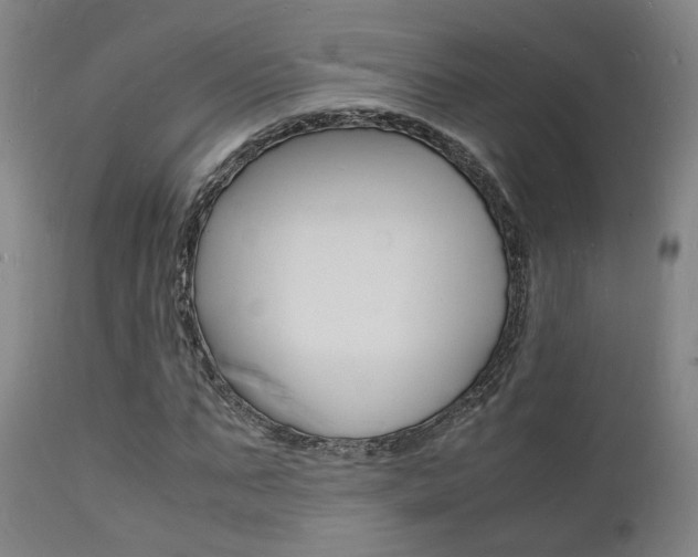 X0000112150871200908071000