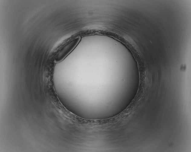 X0000112150872200908071000