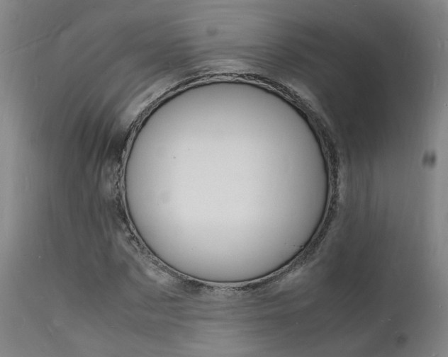X0000112150873200908071000