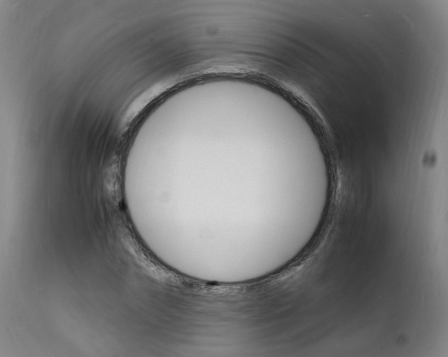 X0000112150874200908071000