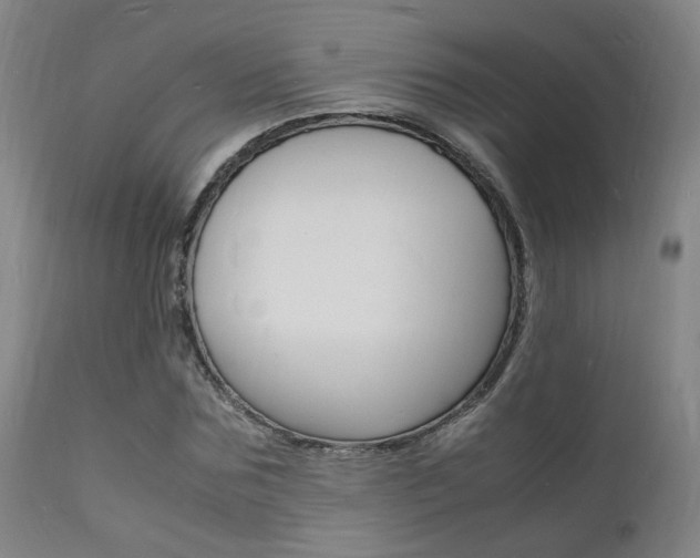 X0000112150875200908071000