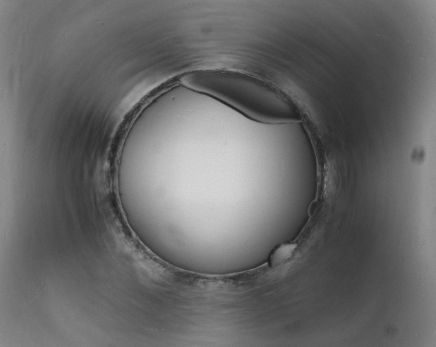 X0000112150876200908071000