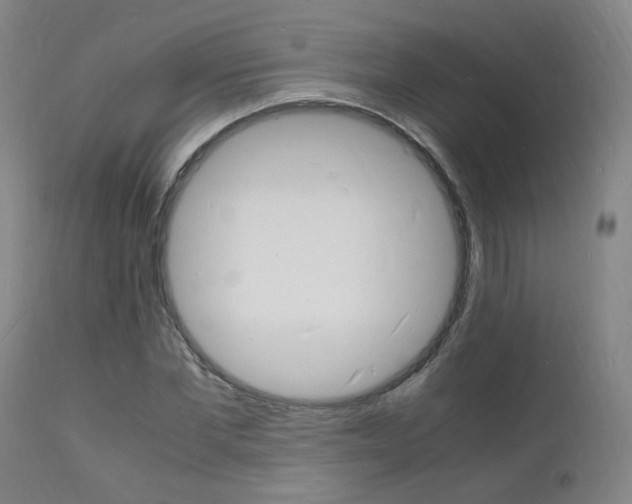 X0000112150877200908071000