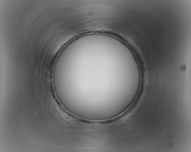 X0000112150881200908071000